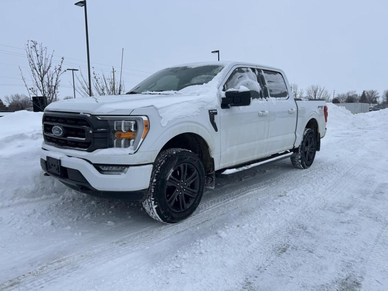 2022 Ford F-150 XLT 4WD SuperCrew 5.5' Box Photo0