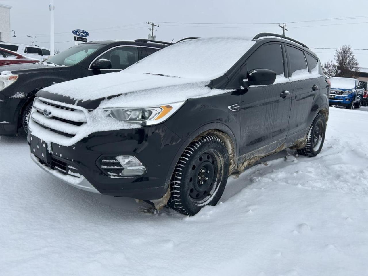 Used 2019 Ford Escape SEL 4WD for sale in Watford, ON
