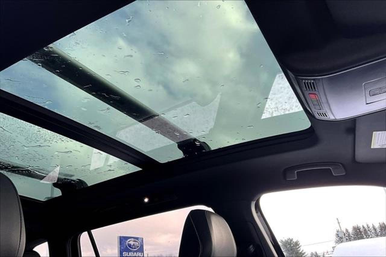 2024 Volkswagen Tiguan  Photo