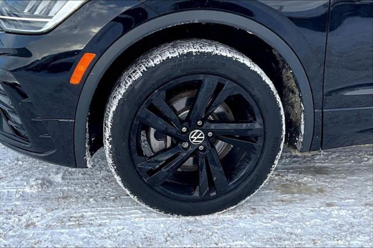 2024 Volkswagen Tiguan  Photo