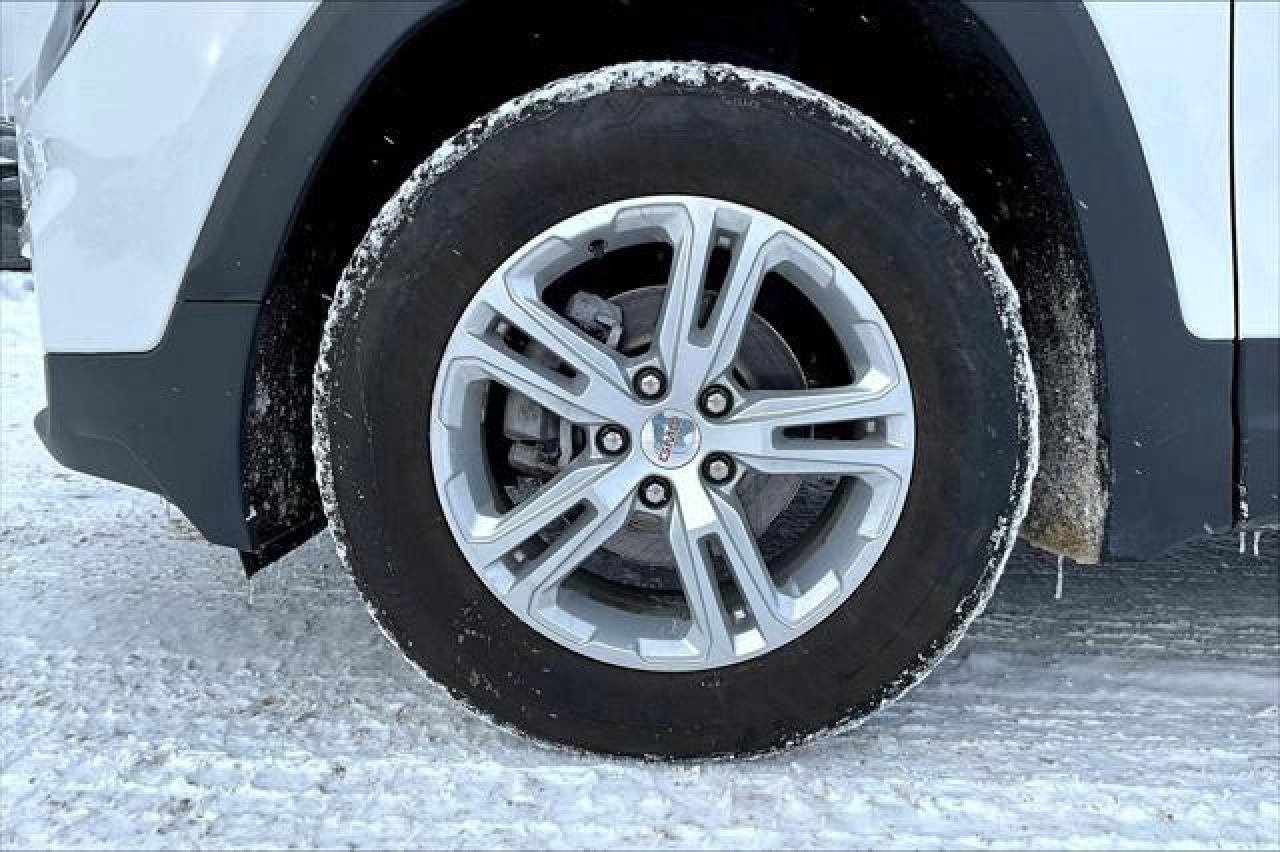 2022 GMC Terrain  Photo