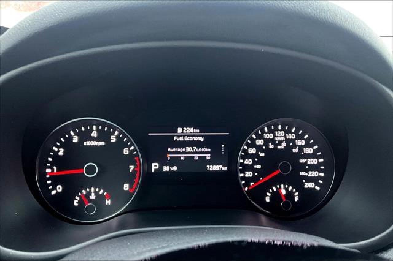 2020 Kia Sportage  Photo