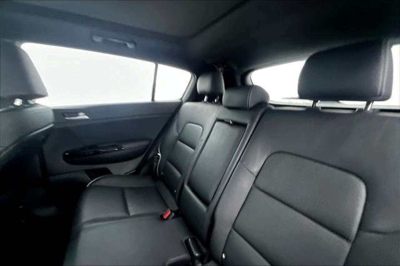 2020 Kia Sportage  Photo