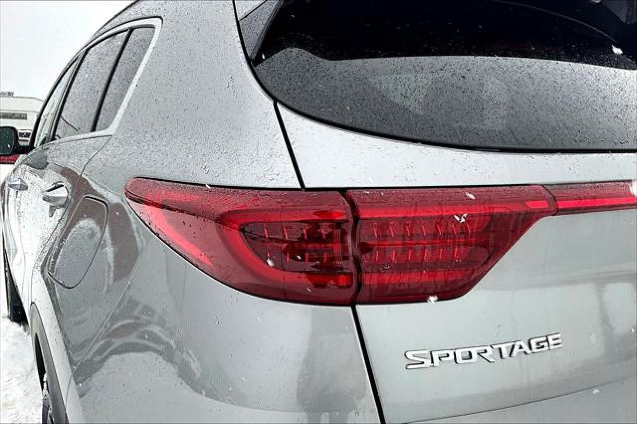 2020 Kia Sportage  Photo