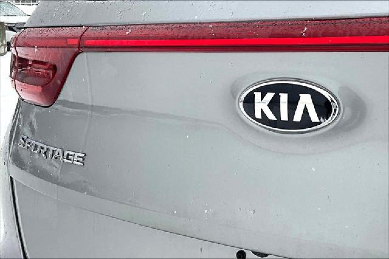2020 Kia Sportage  Photo