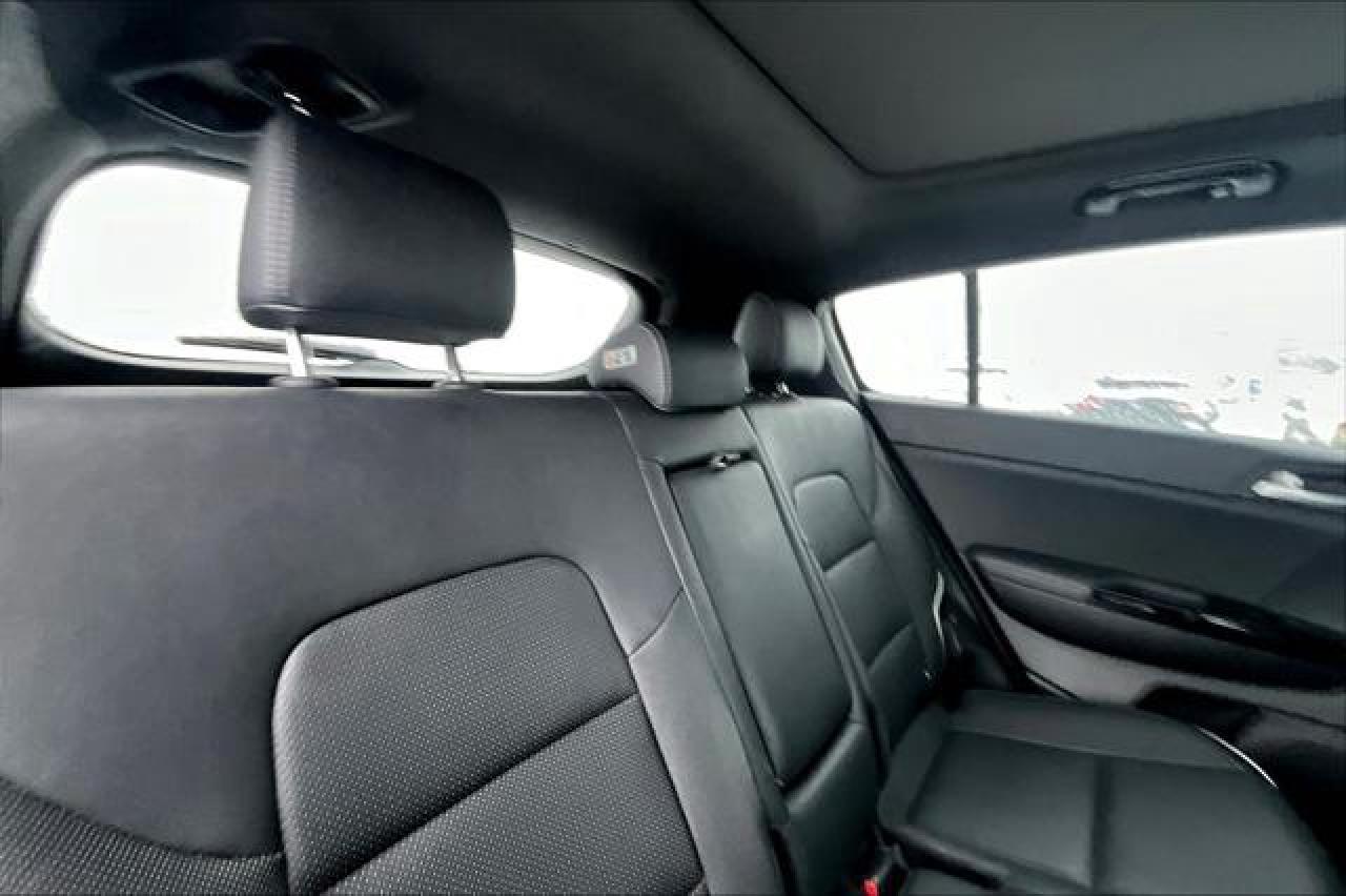 2020 Kia Sportage  Photo