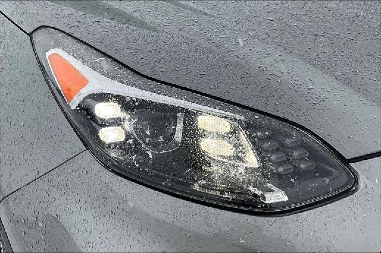 2020 Kia Sportage  Photo