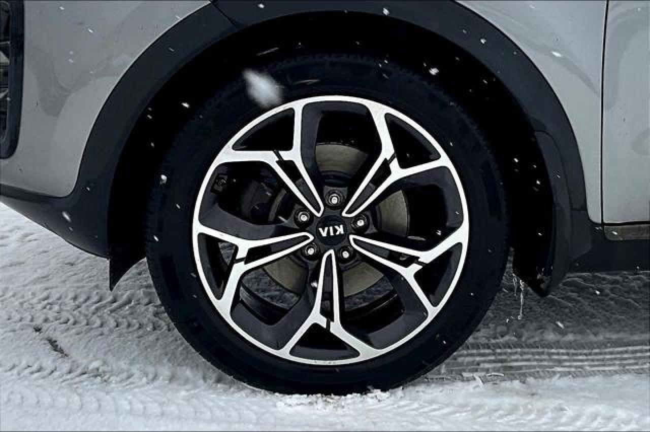 2020 Kia Sportage  Photo