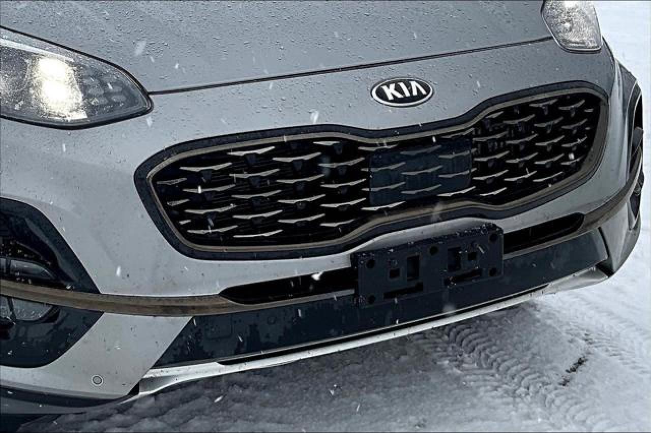 2020 Kia Sportage  Photo