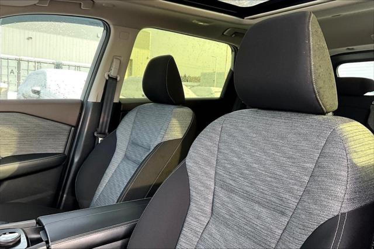 2023 Nissan Rogue  Photo