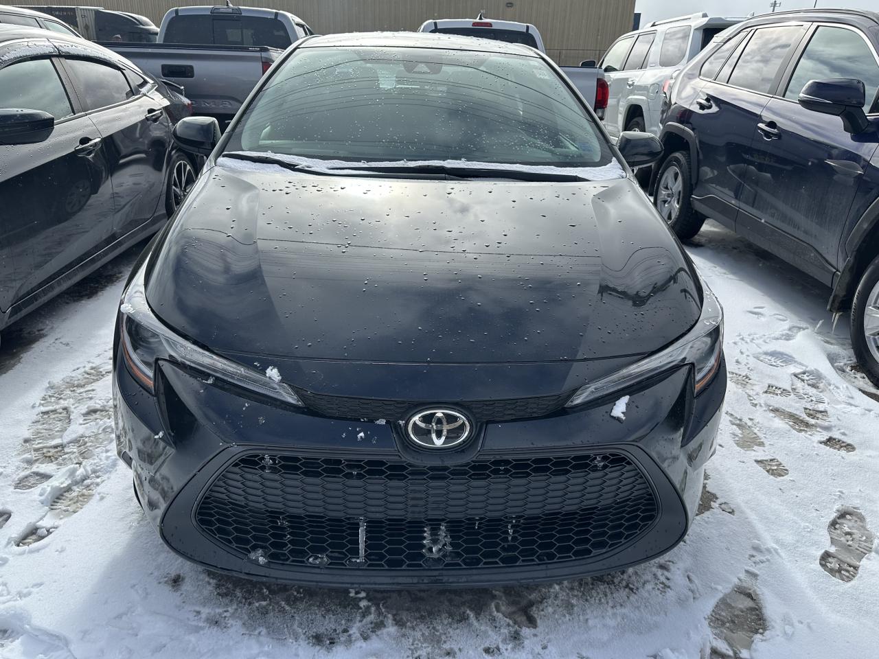 2022 Toyota Corolla L Photo1