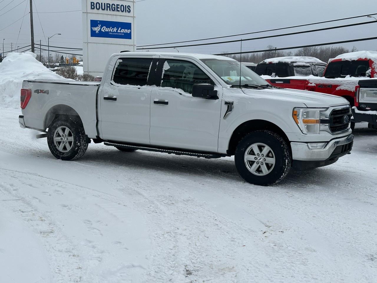 2021 Ford F-150 XLT 4WD SuperCrew 5.5' Box Photo
