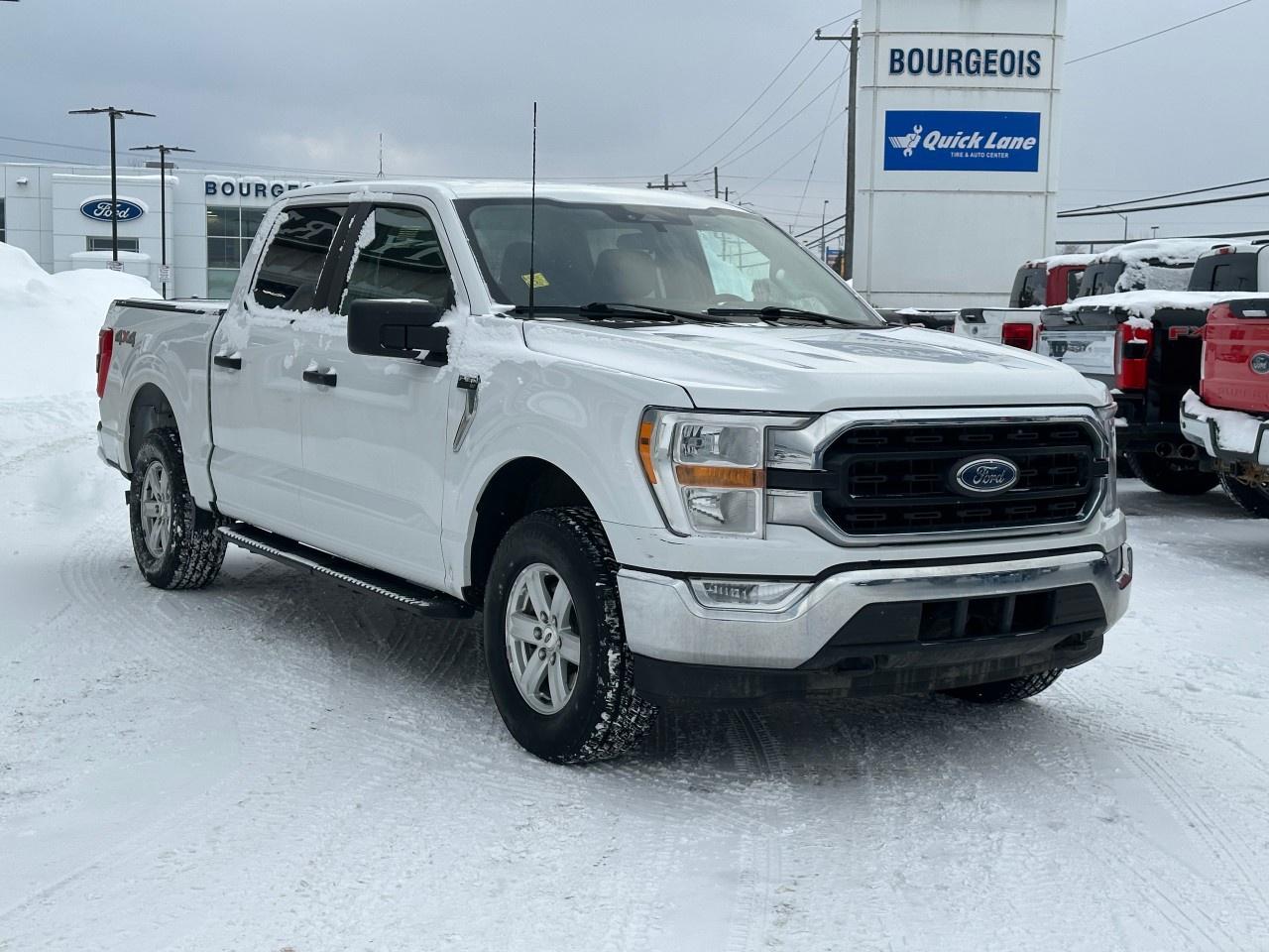 2021 Ford F-150 XLT 4WD SuperCrew 5.5' Box Photo