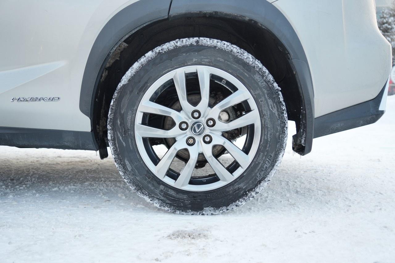 2021 Lexus NX NX 300h AWD Photo