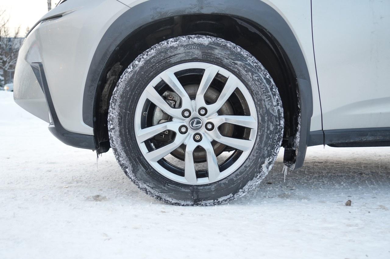 2021 Lexus NX NX 300h AWD Photo