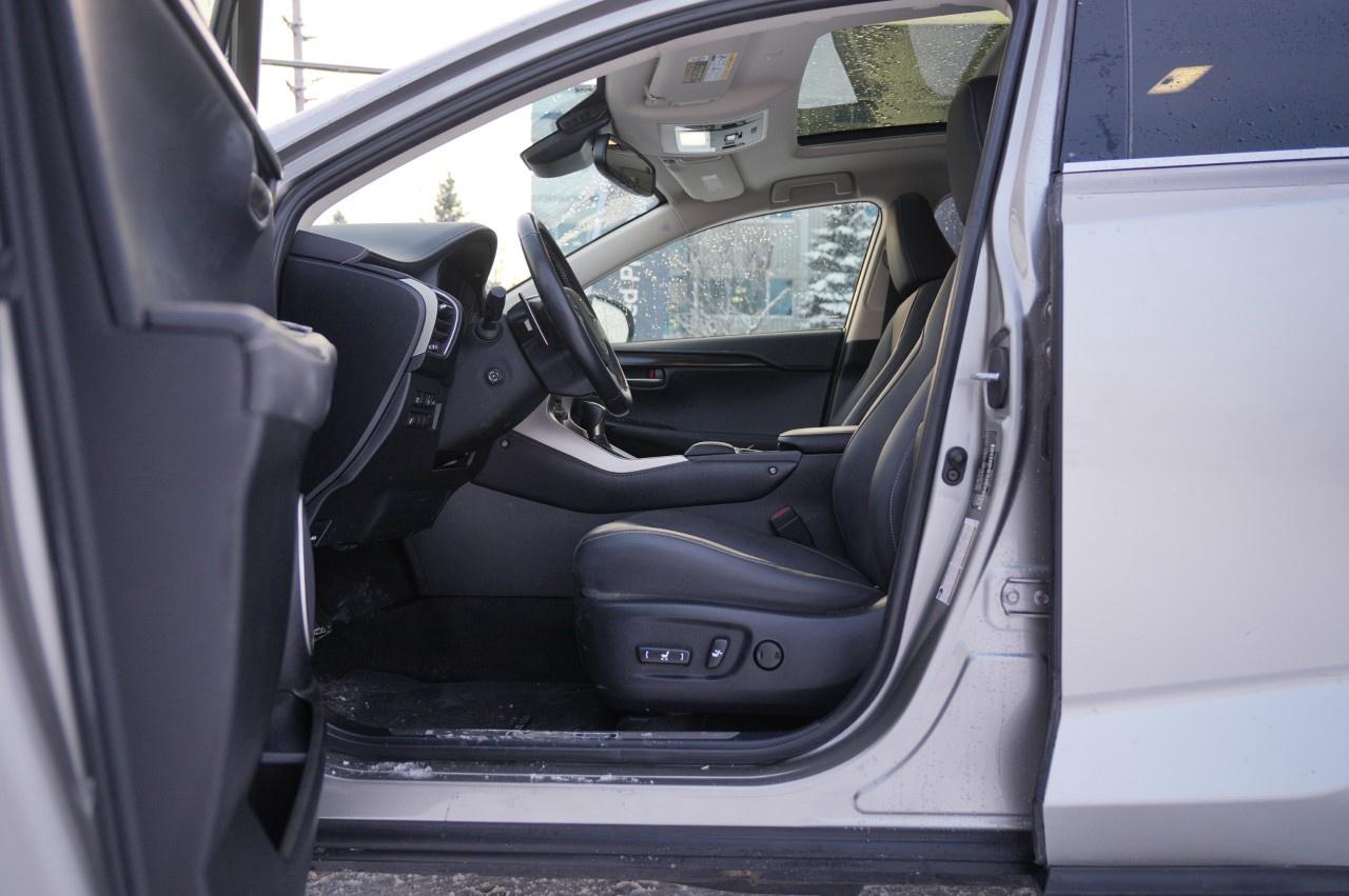 2021 Lexus NX NX 300h AWD Photo