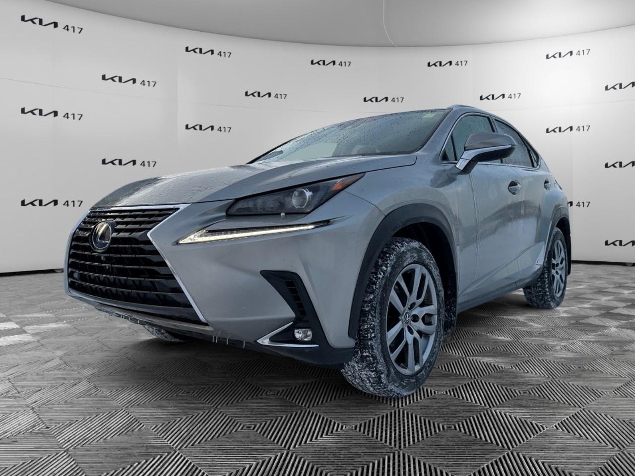 2021 Lexus NX NX 300h AWD Photo0