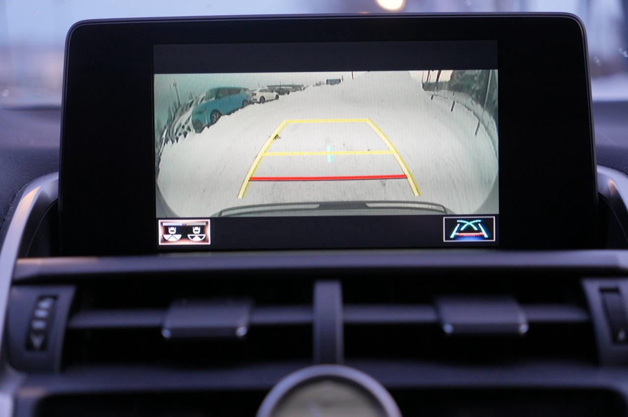 2021 Lexus NX NX 300h AWD Photo