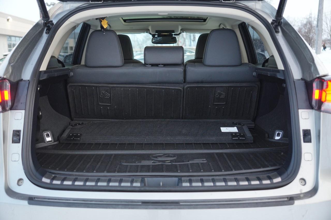 2021 Lexus NX NX 300h AWD Photo