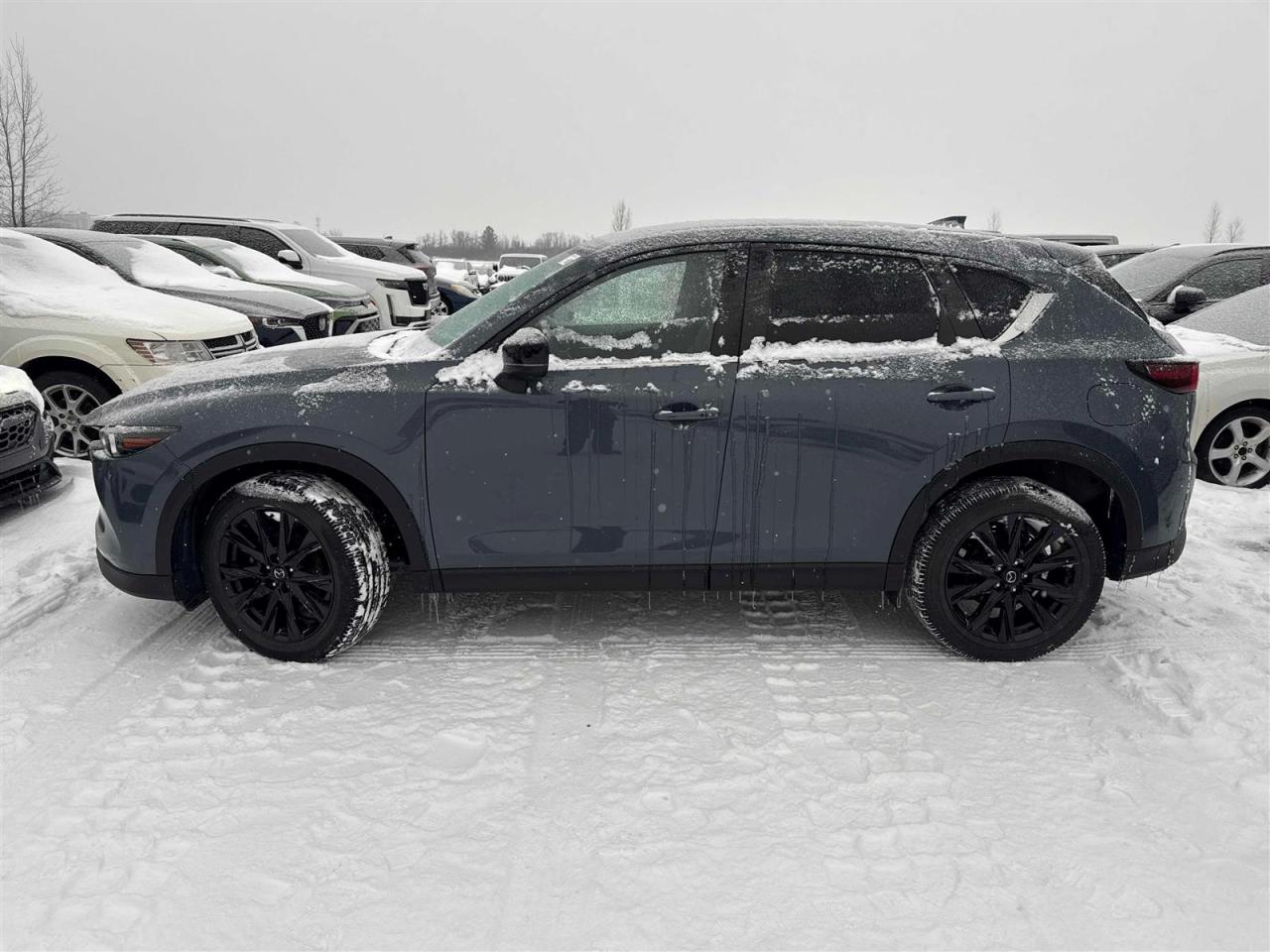 2023 Mazda CX-5 KURO EDITION AWD | RED LEATHER | NO ACCIDENTS Photo