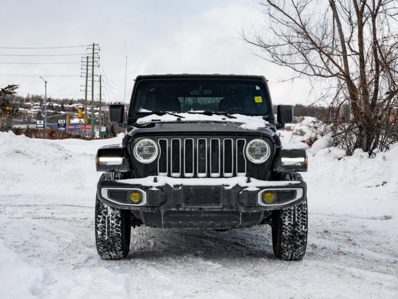 2020 Jeep Wrangler Unlimited Sahara Photo
