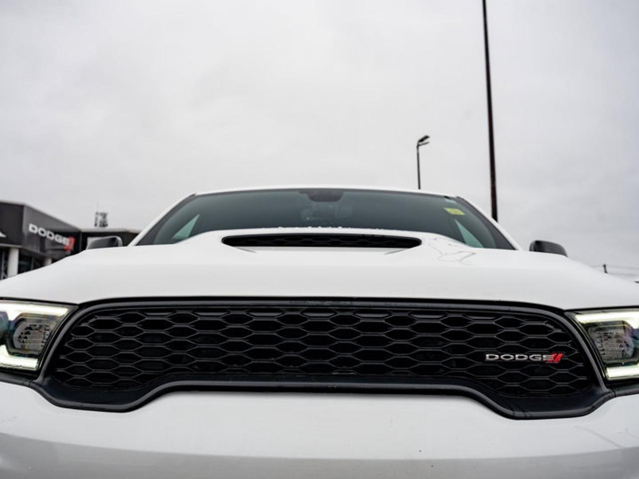 13500413