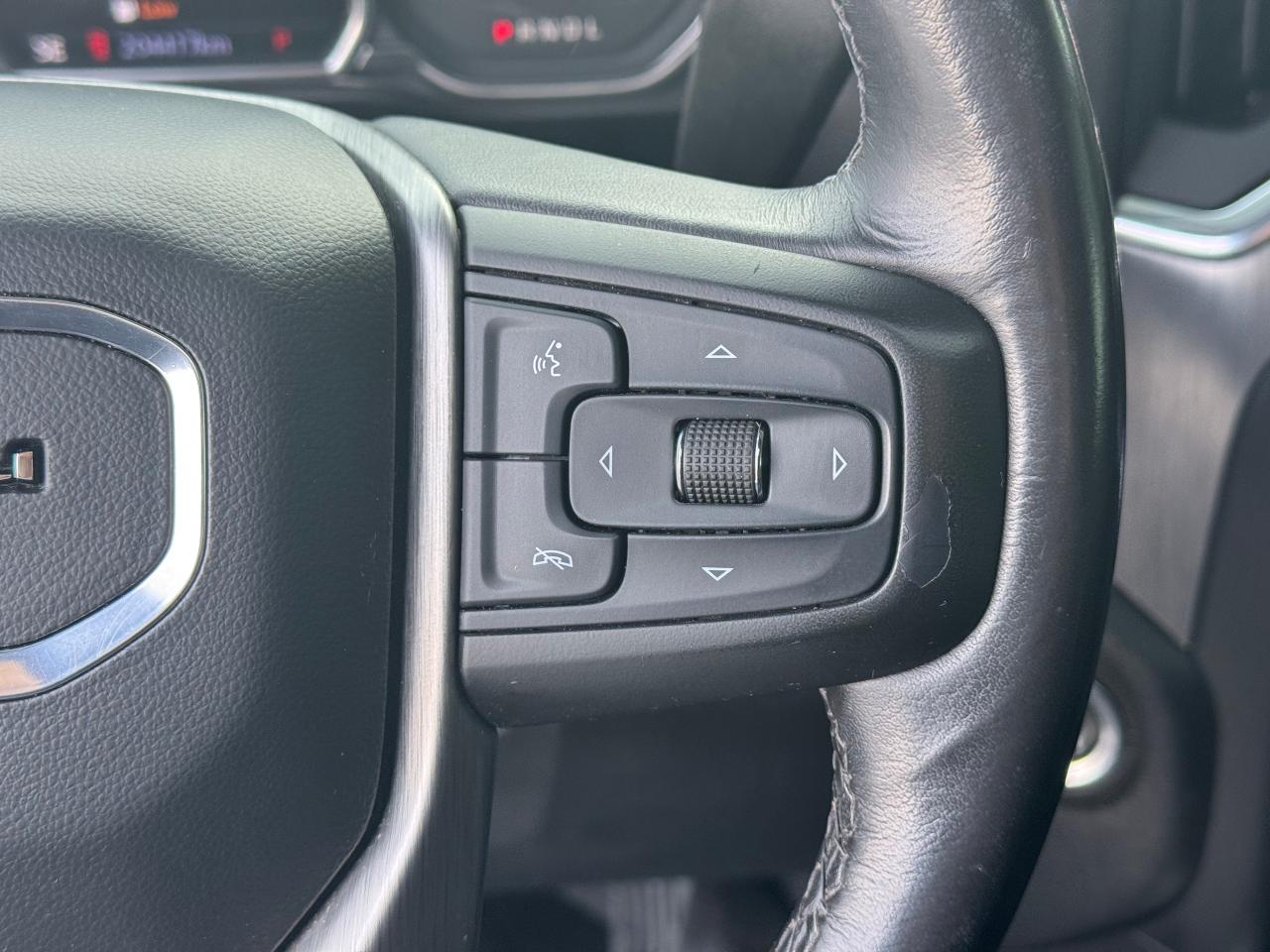 2020 GMC Sierra 1500 Denali **CARBON PRO EDITION** Photo