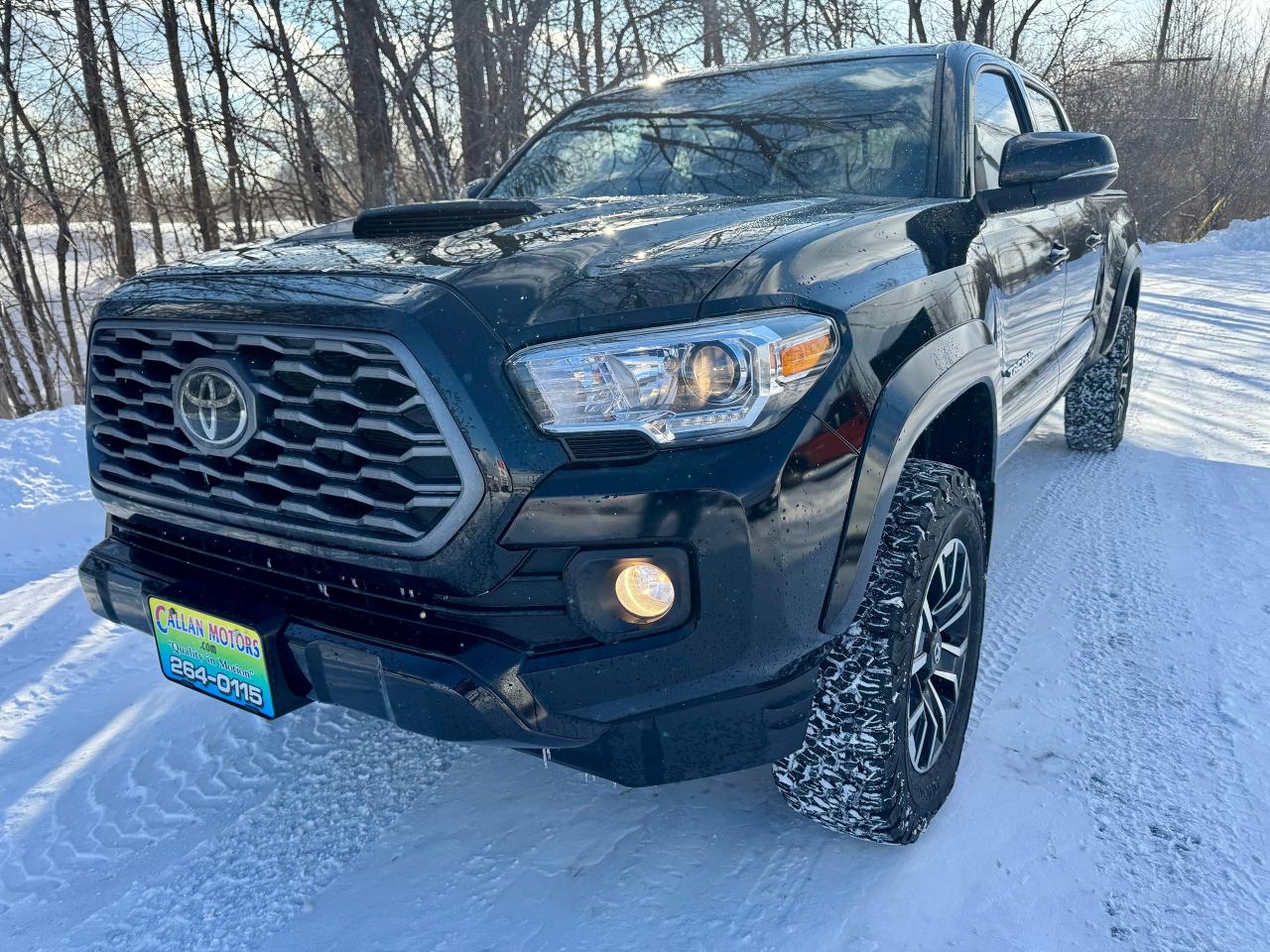2023 Toyota Tacoma SR5 TRD SPORT 4WD CREW Clean Carfax | Low KMS Photo