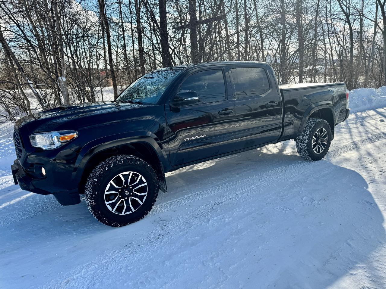 2023 Toyota Tacoma SR5 TRD SPORT 4WD CREW Clean Carfax | Low KMS Photo