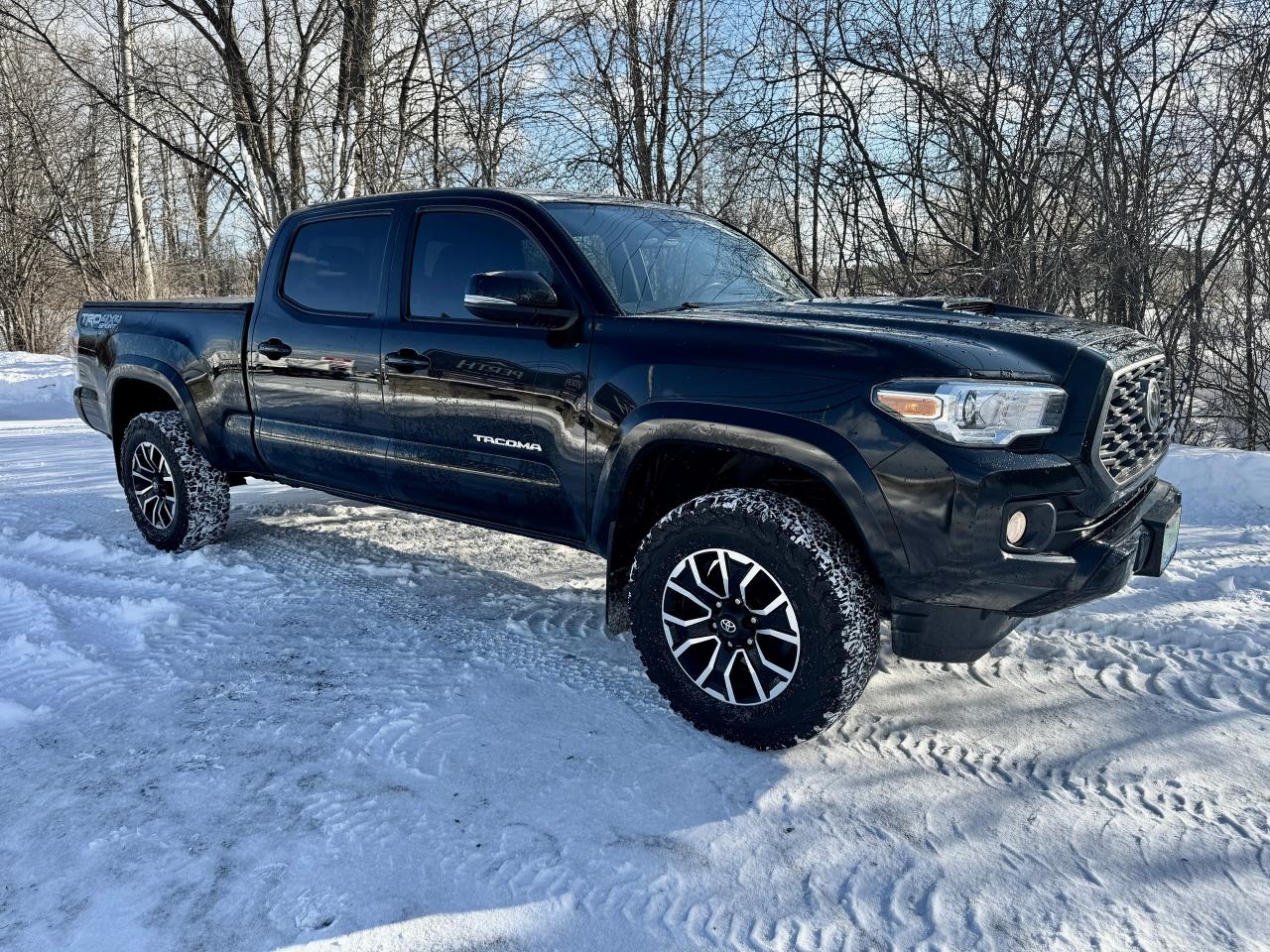 2023 Toyota Tacoma SR5 TRD SPORT 4WD CREW Clean Carfax | Low KMS Photo