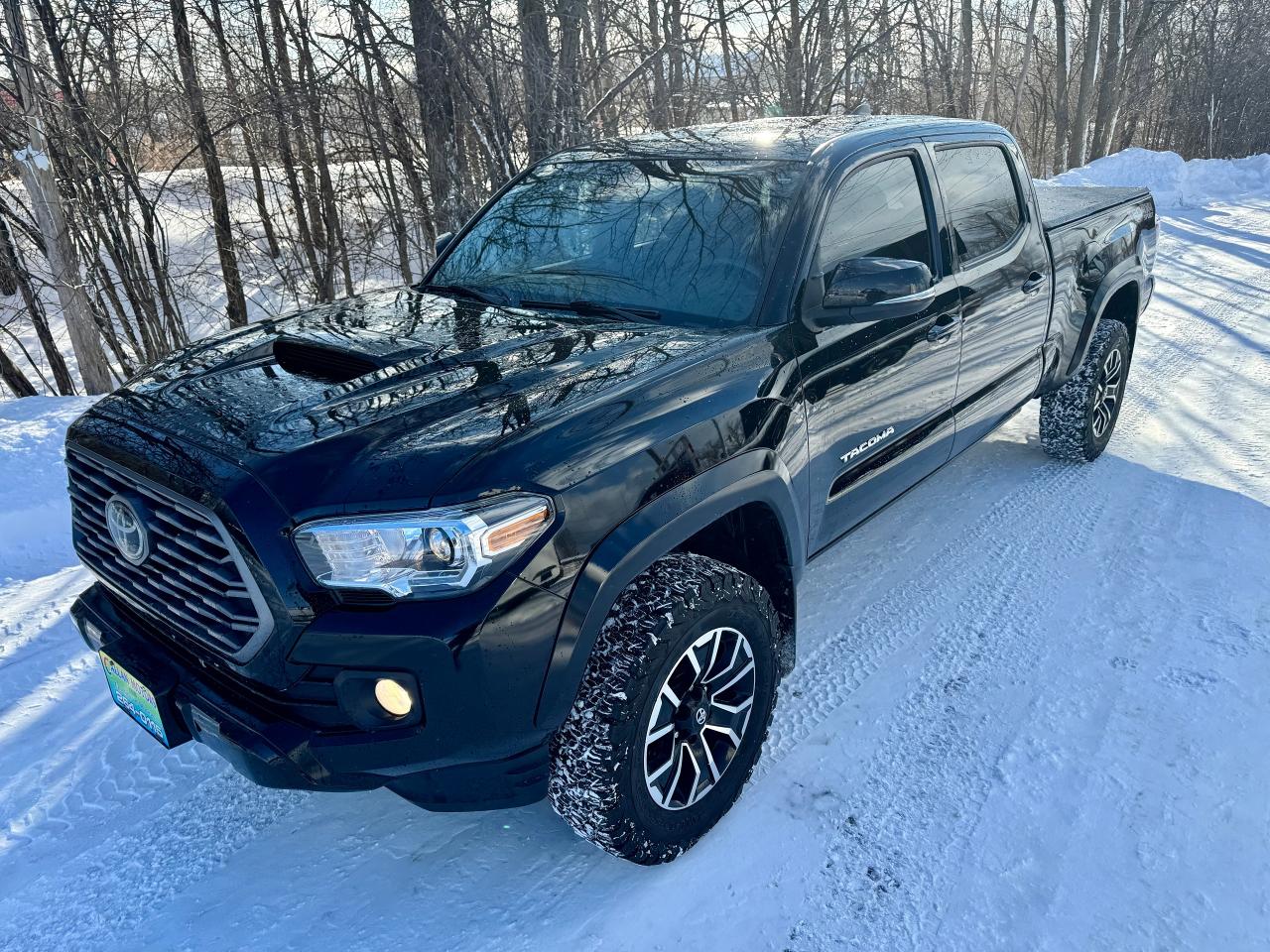 2023 Toyota Tacoma SR5 TRD SPORT 4WD CREW Clean Carfax | Low KMS Photo