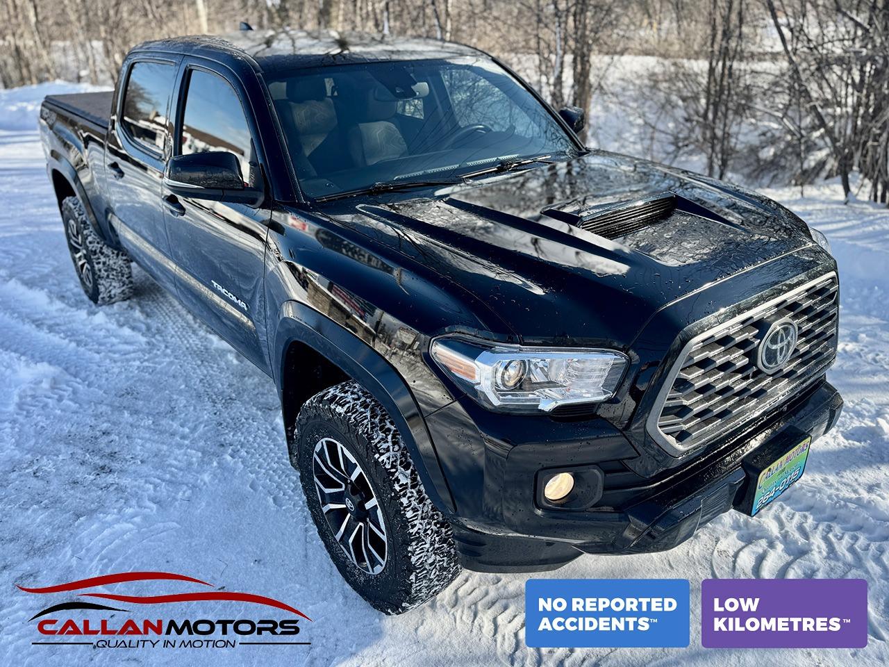 2023 Toyota Tacoma SR5 TRD SPORT 4WD CREW Clean Carfax | Low KMS - Photo #1