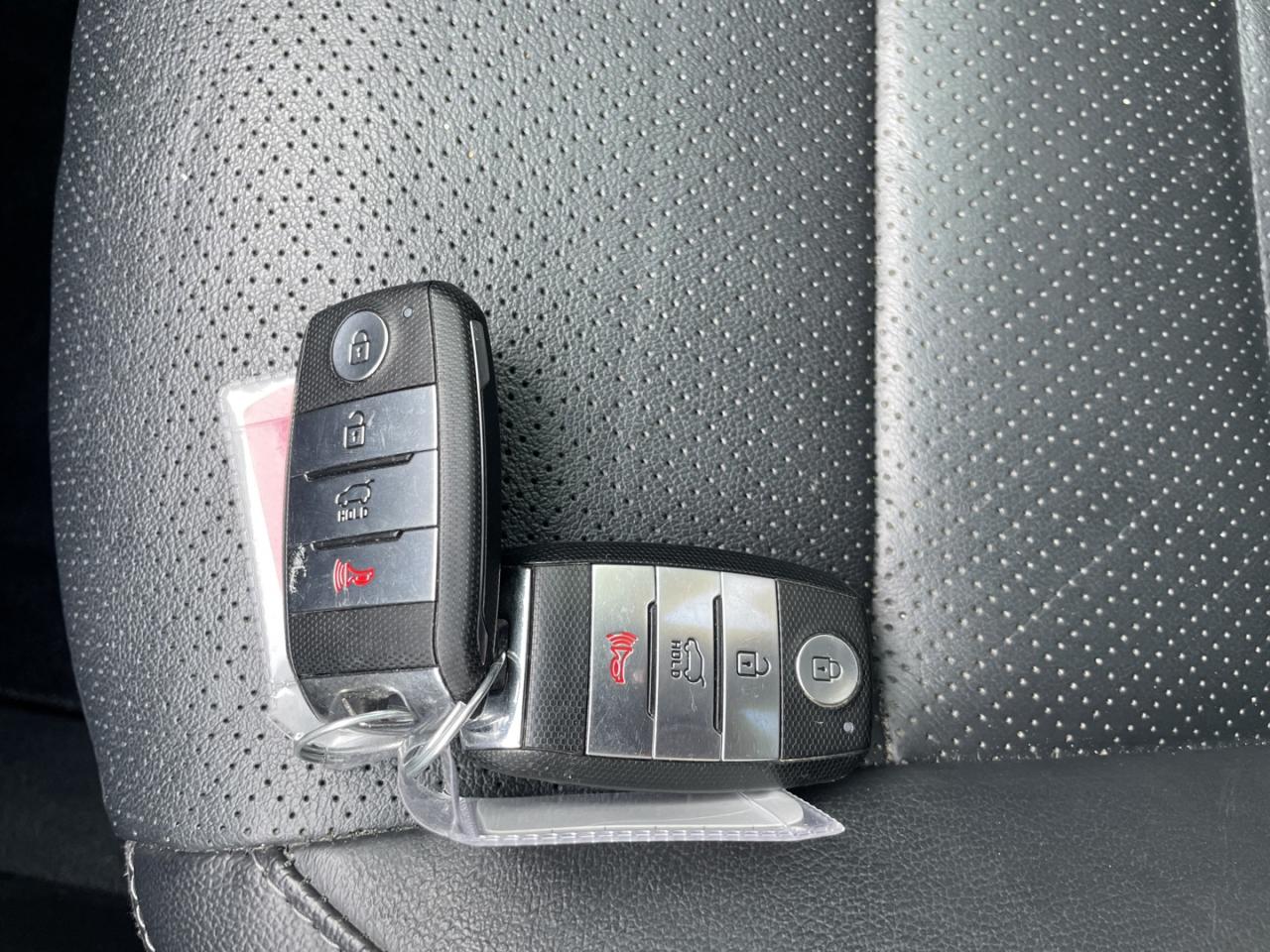 2020 Kia Sorento EX V6 AWD *Lthr / 7 passenger Photo