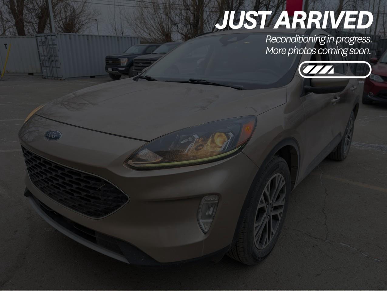 Used 2020 Ford Escape SEL $193 BI-WEEKLY - NO REPORTED ACCIDENTS, LOW KILOMETRES, GREAT ON GAS for sale in Cranbrook, BC