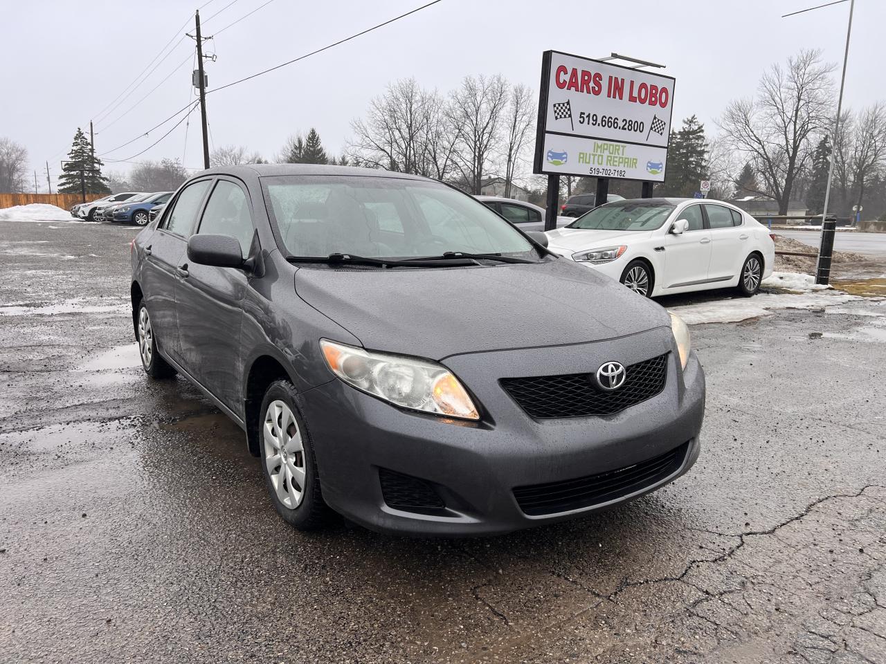 2010 Toyota Corolla CE Photo