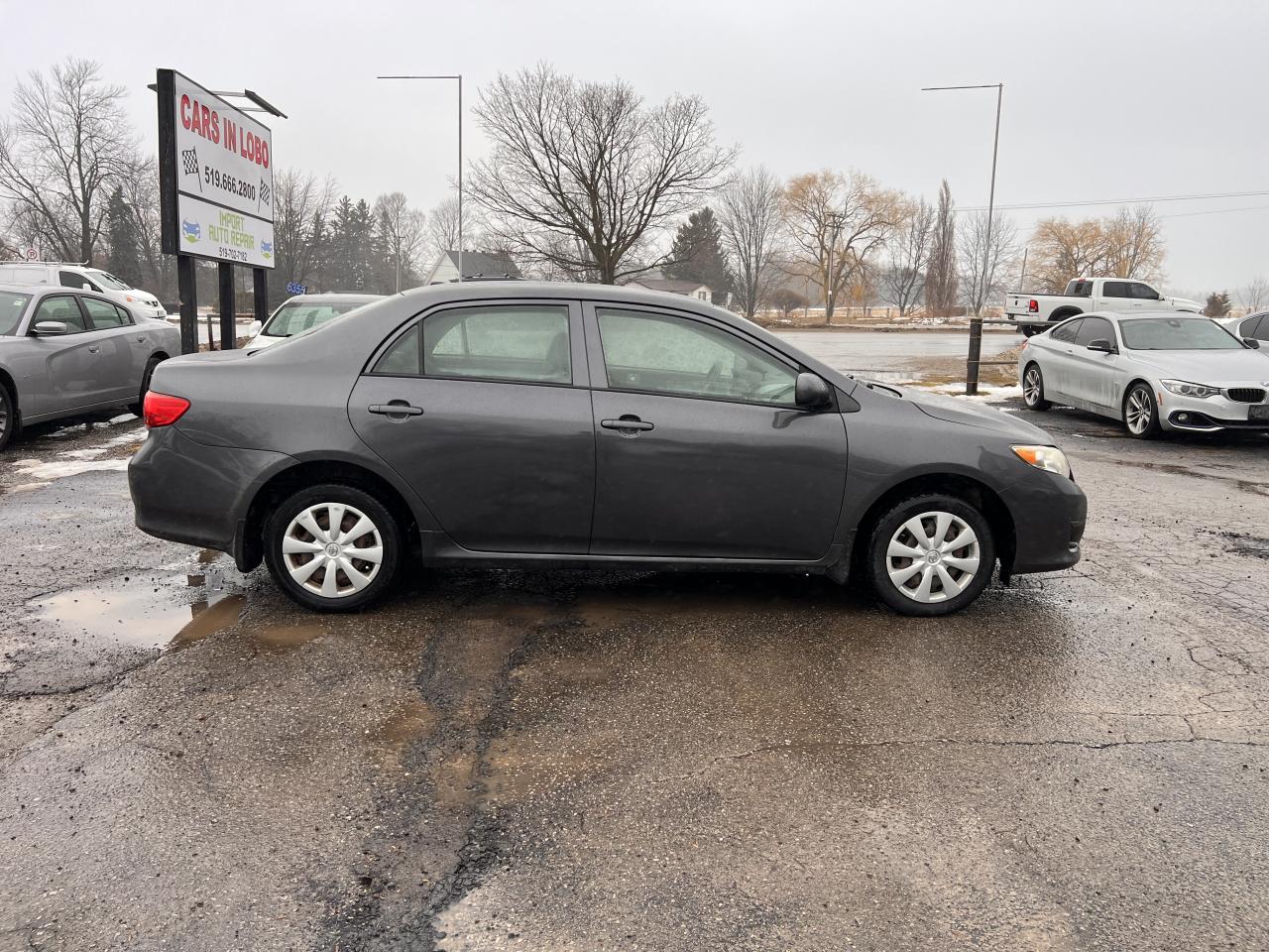 2010 Toyota Corolla CE Photo