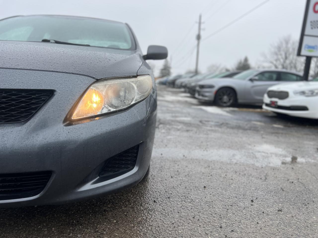 2010 Toyota Corolla CE Photo