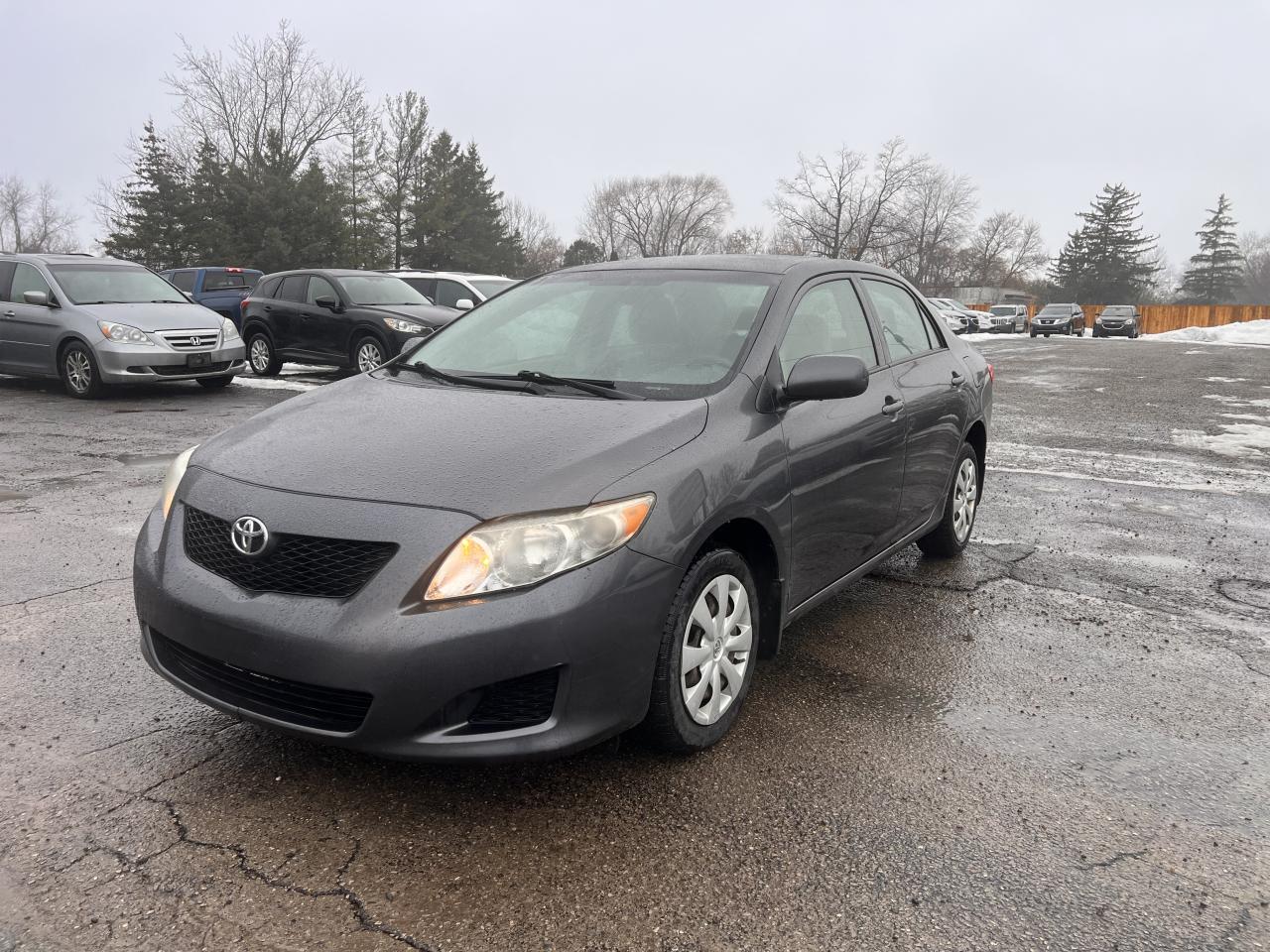 2010 Toyota Corolla CE Photo