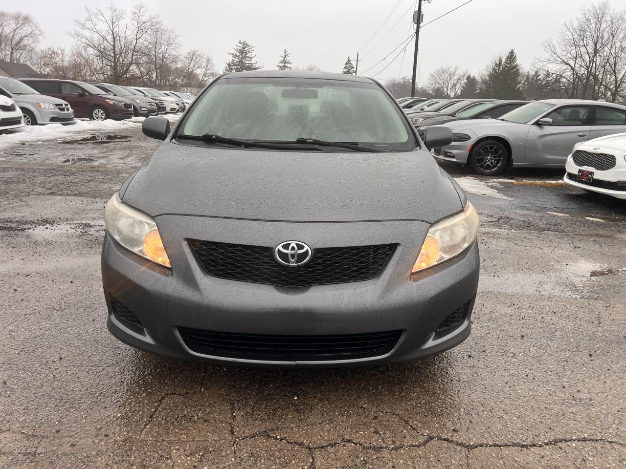 2010 Toyota Corolla CE Photo