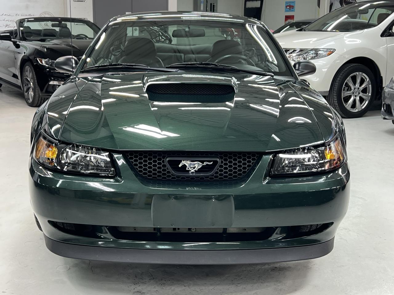 2001 Ford Mustang GT BULLITT Photo