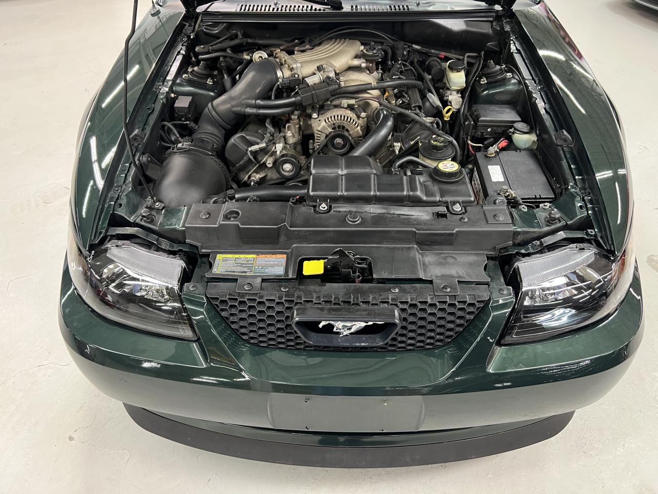 2001 Ford Mustang GT BULLITT Photo