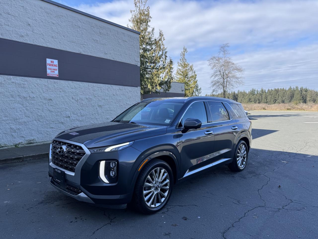 2020 Hyundai PALISADE ULTIMATE