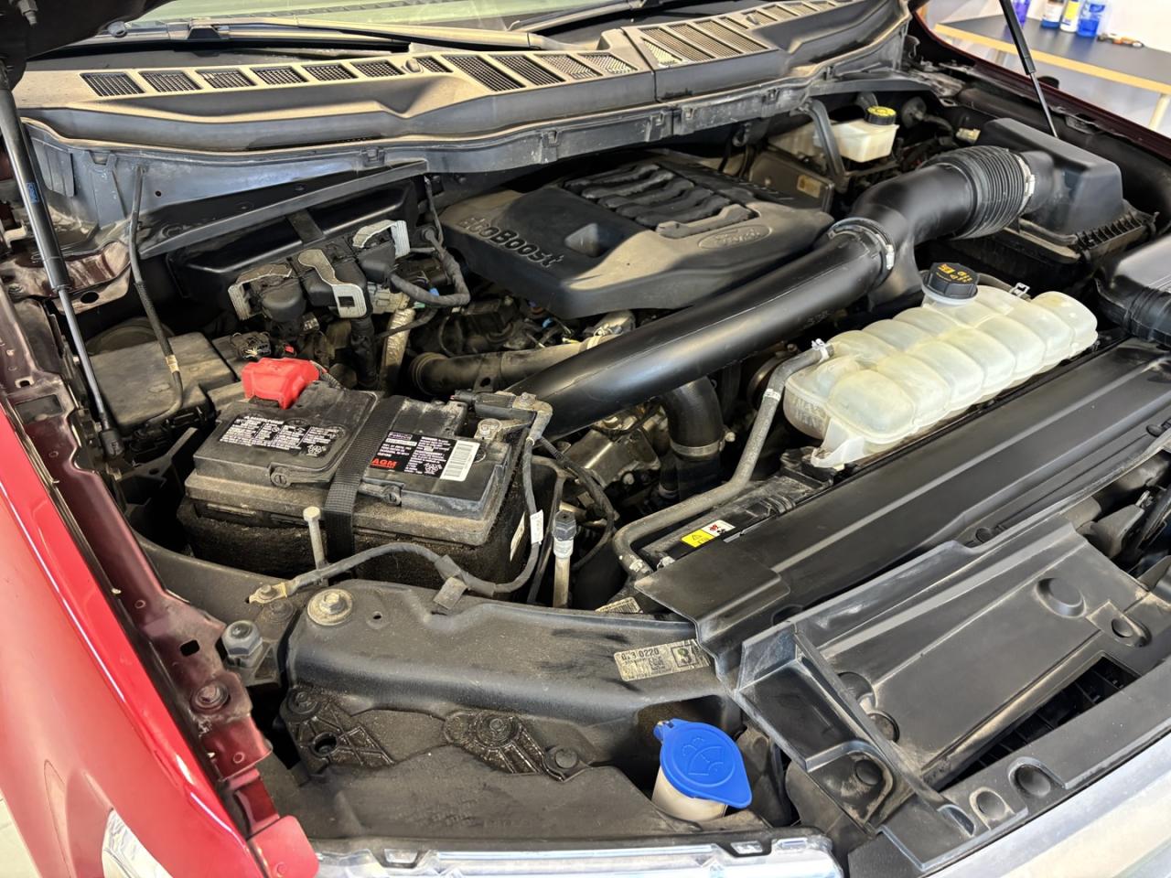 2022 Ford F-150 XLT Photo