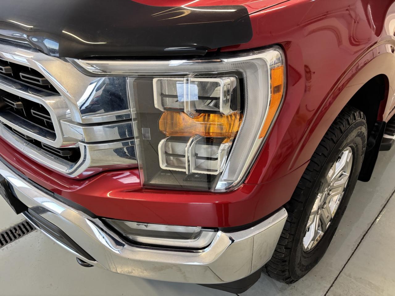 2022 Ford F-150 XLT Photo