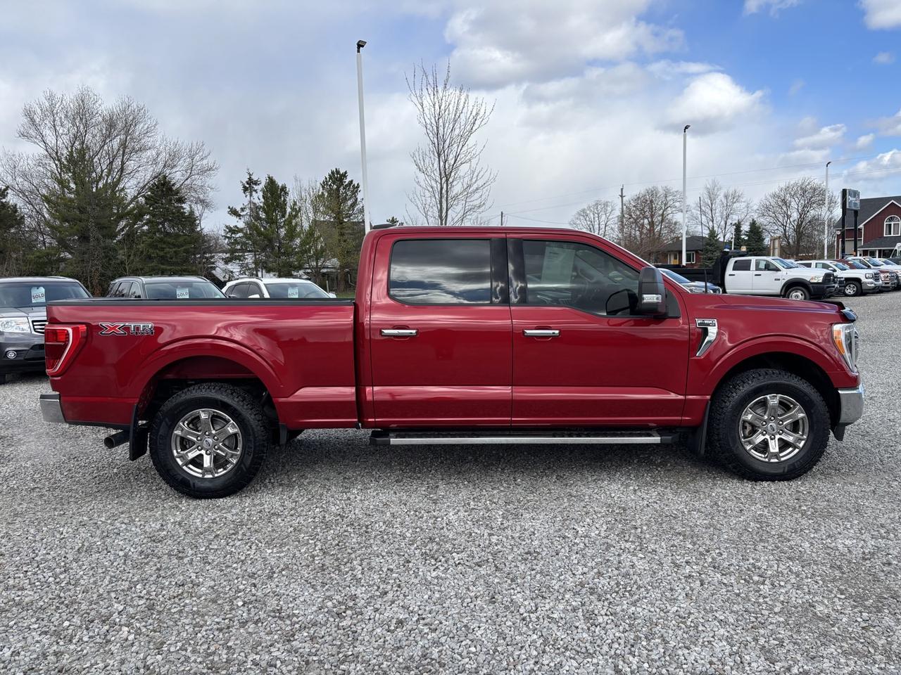 2022 Ford F-150 XLT 6.5' box*4WD*TOW PKG.* Photo