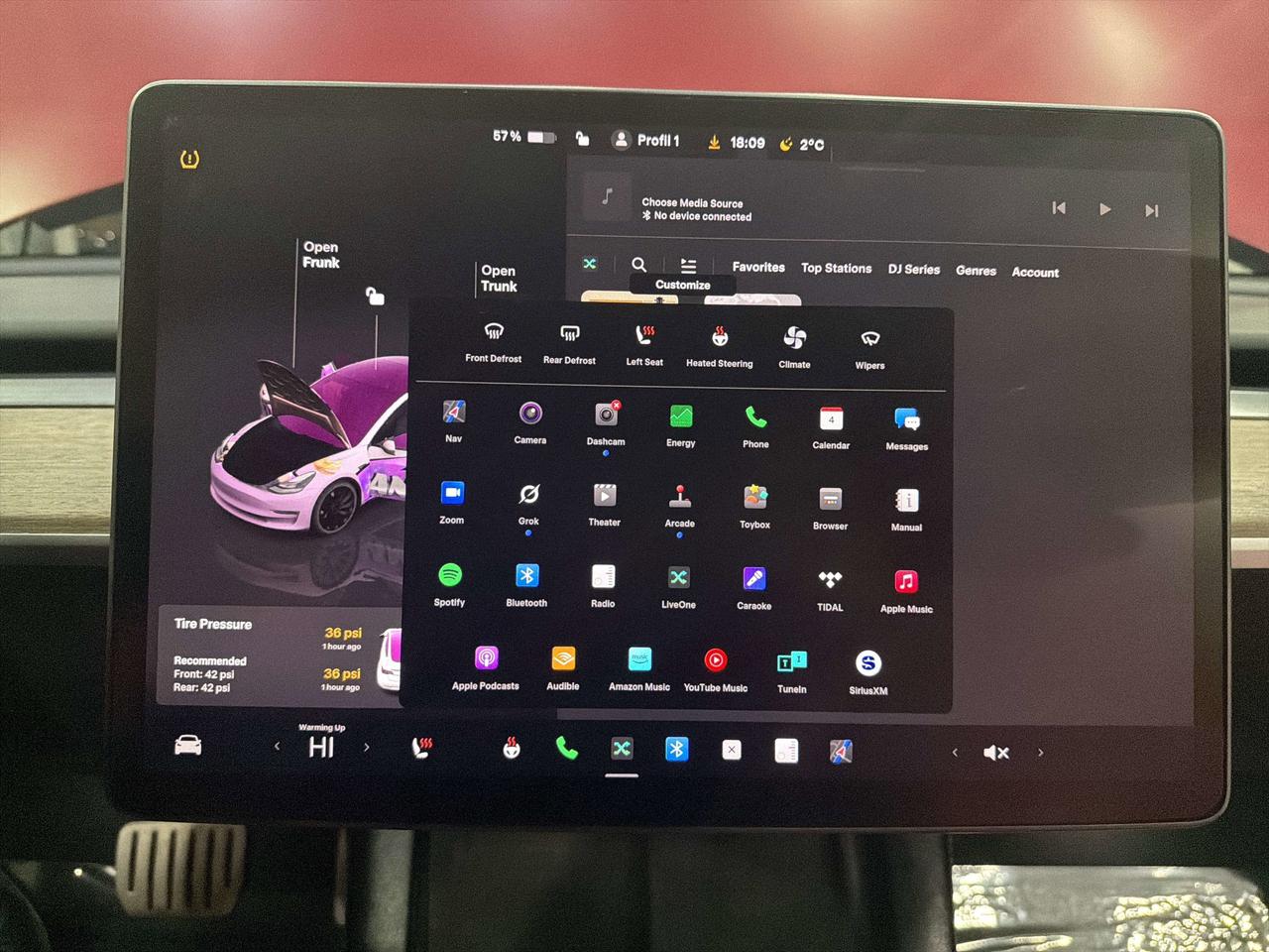 2022 Tesla Model 3 Performance Photo