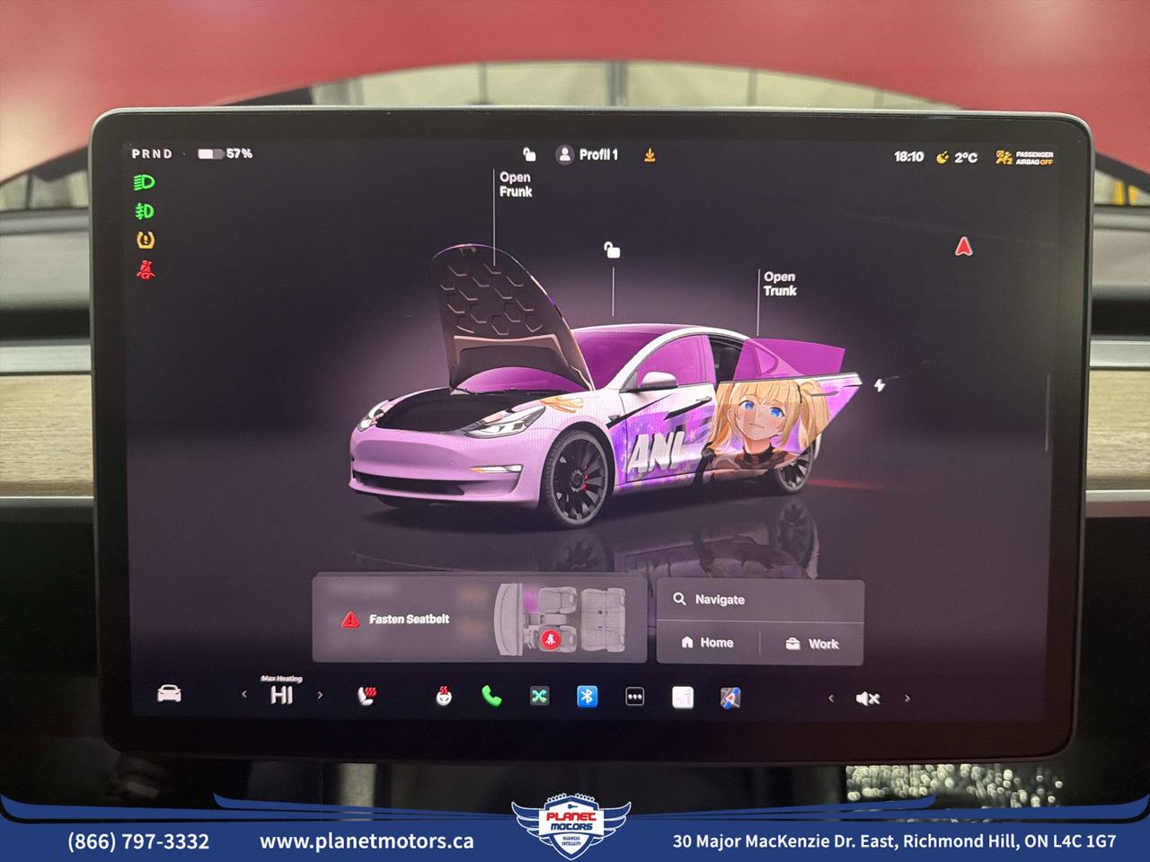 2022 Tesla Model 3 Performance Photo