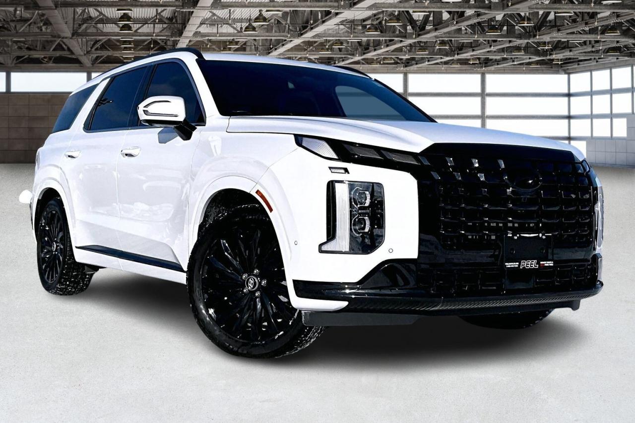 2025 Hyundai PALISADE Ultimate Calligraphy Night 7Seat AWD Photo