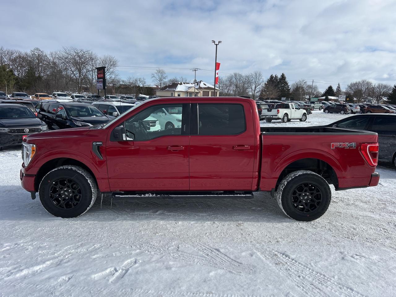 2022 Ford F-150 XLT SPORT, FX4, CLEAN CARFAX, REMOTE START! - Photo #3