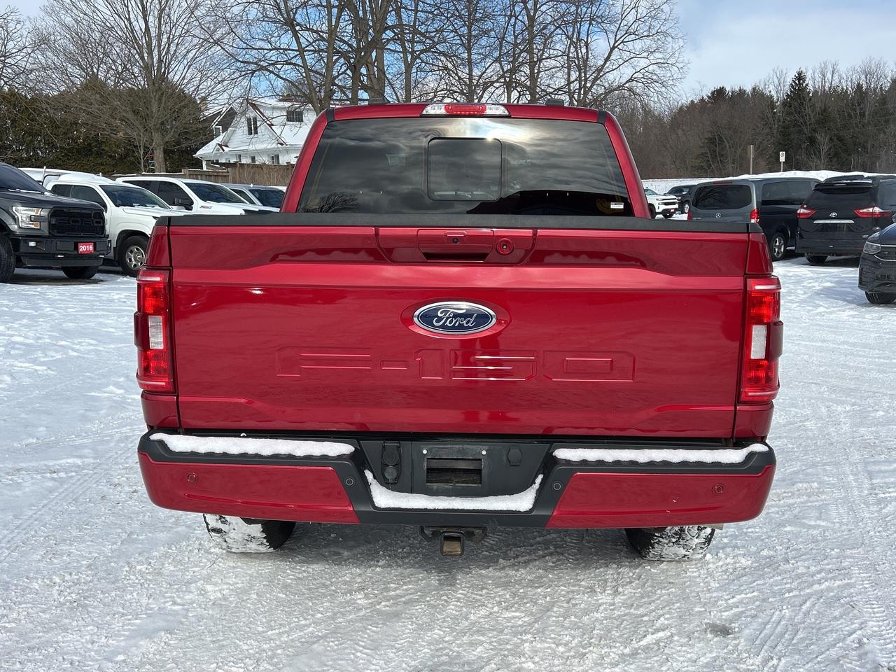 2022 Ford F-150 XLT SPORT, FX4, CLEAN CARFAX, REMOTE START! - Photo #5